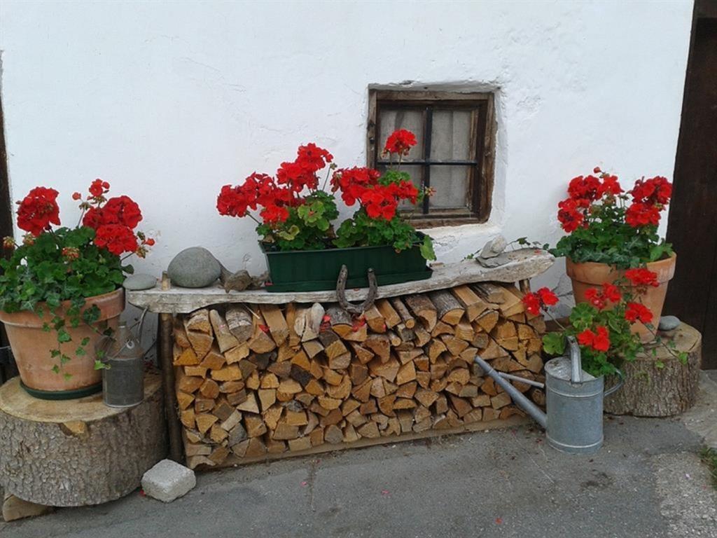 Oberseebachhof Scheffau am Wilden Kaiser Ngoại thất bức ảnh